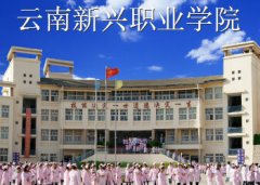 云南新兴职业学院2021年中专招生计划